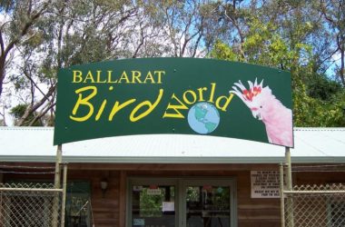 Ballarat-Bird-World-380x250