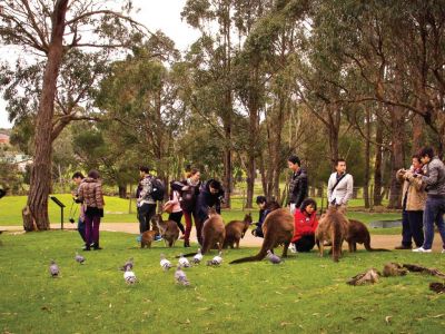 Ballarat Wildlife Park