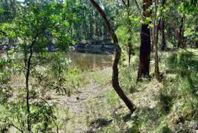 Enfield State Park