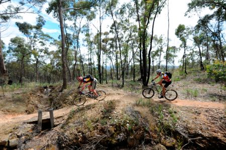 Goldfields Track