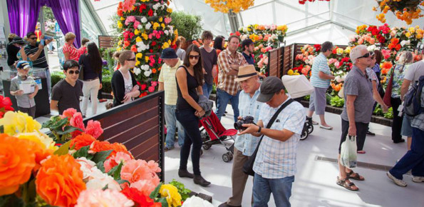 Ballarat Begonia Festival