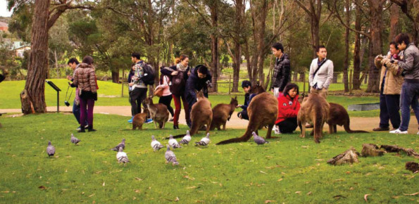 Ballarat Wildlife Park